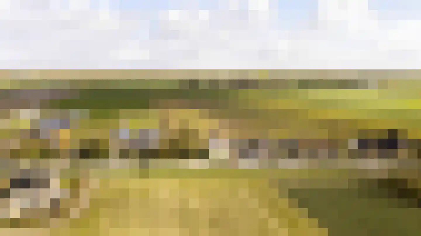 Herenweg 102 b Egmond-Binnen thumbnail 36