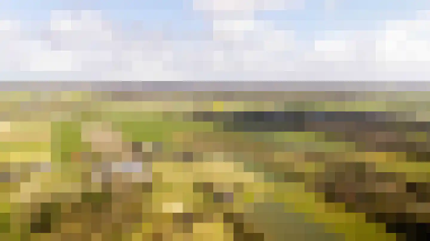 Herenweg 102 b Egmond-Binnen thumbnail 37