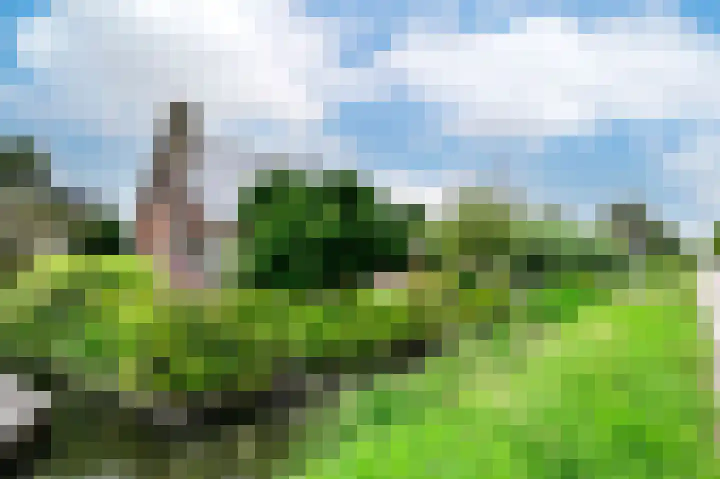 Herenweg 111 Wilnis thumbnail 21