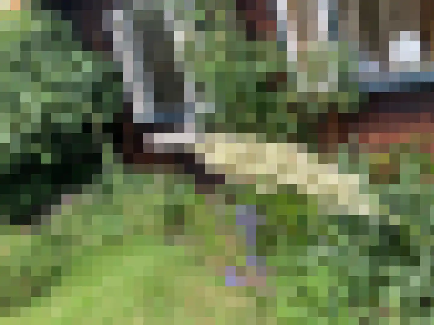 Herenweg 115 Warmond thumbnail 45
