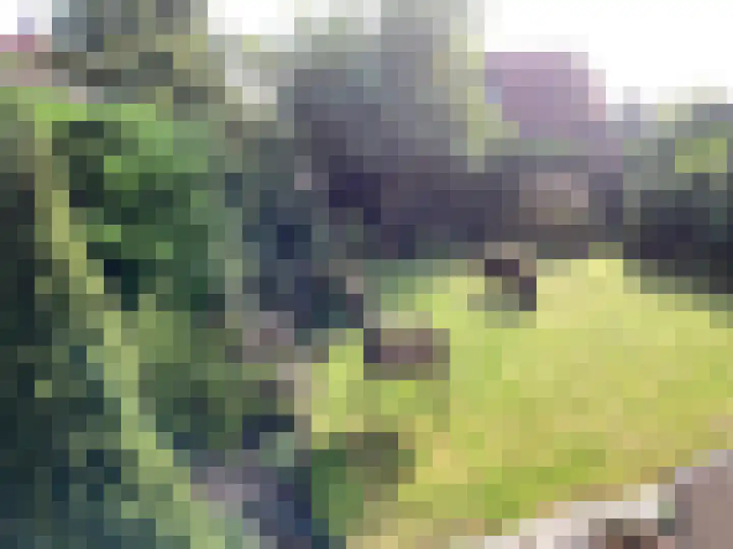 Herenweg 115 Warmond thumbnail 46