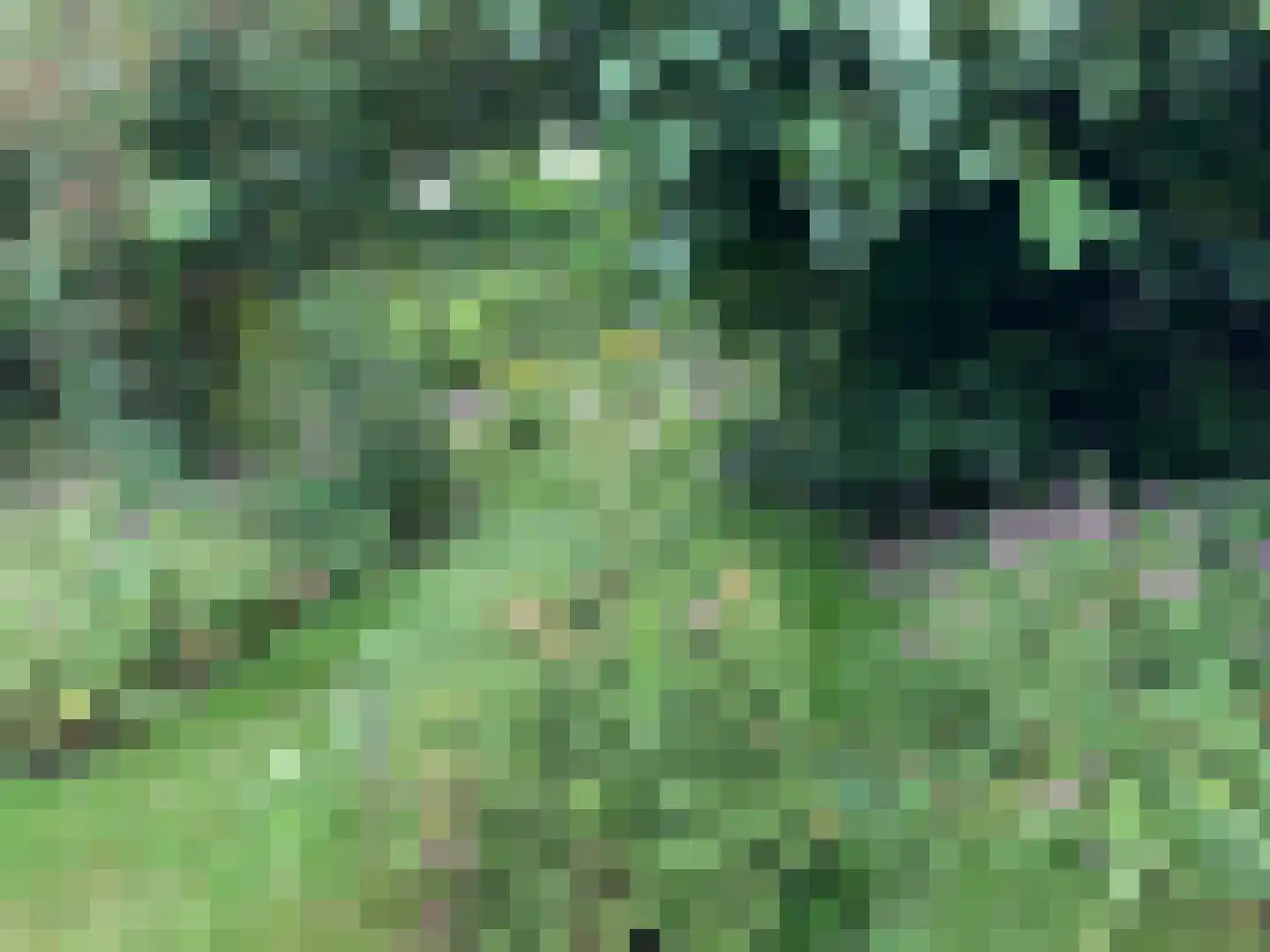Herenweg 115 Warmond thumbnail 47