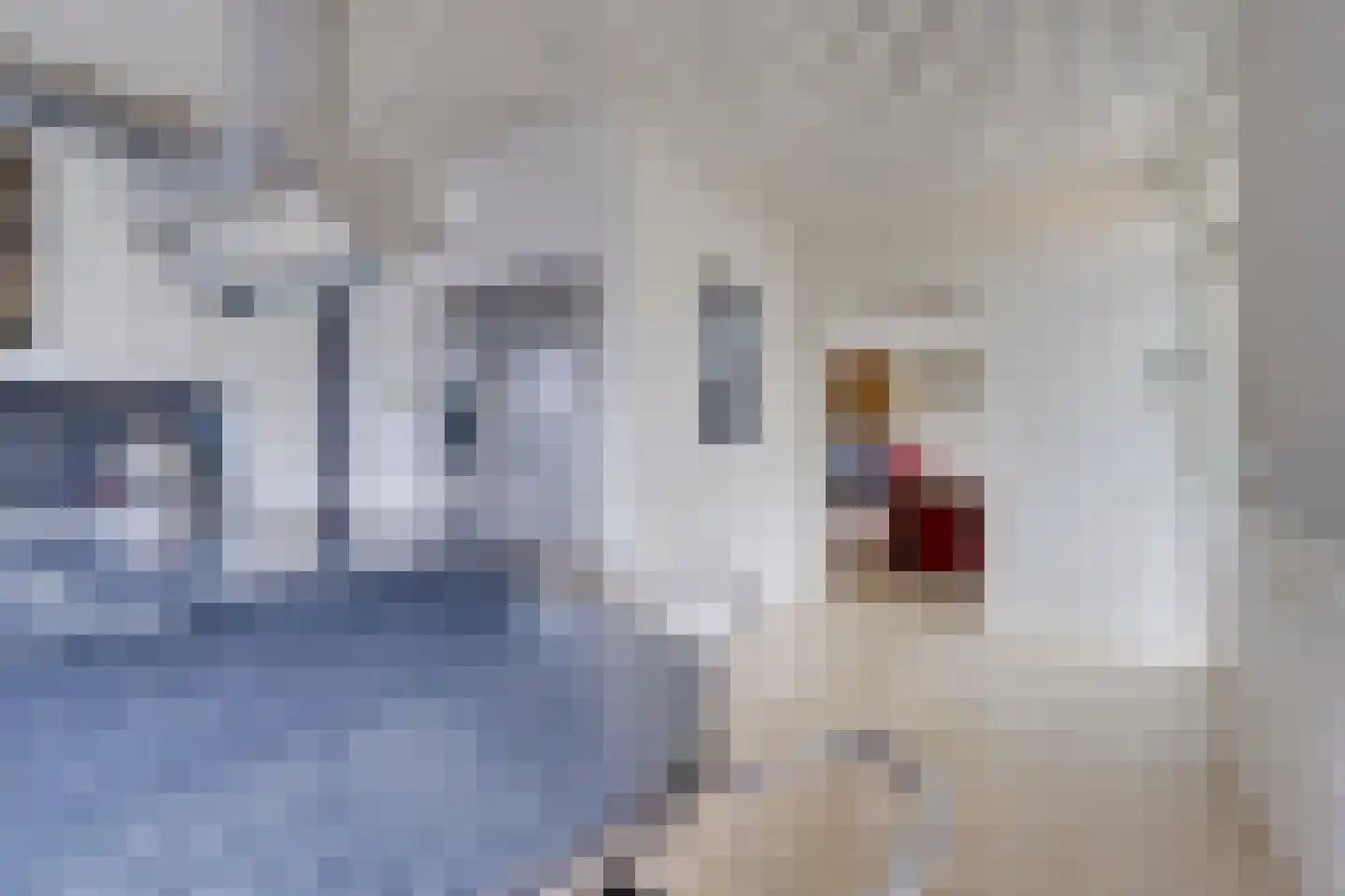 Herenweg 12 Maarssen thumbnail 13