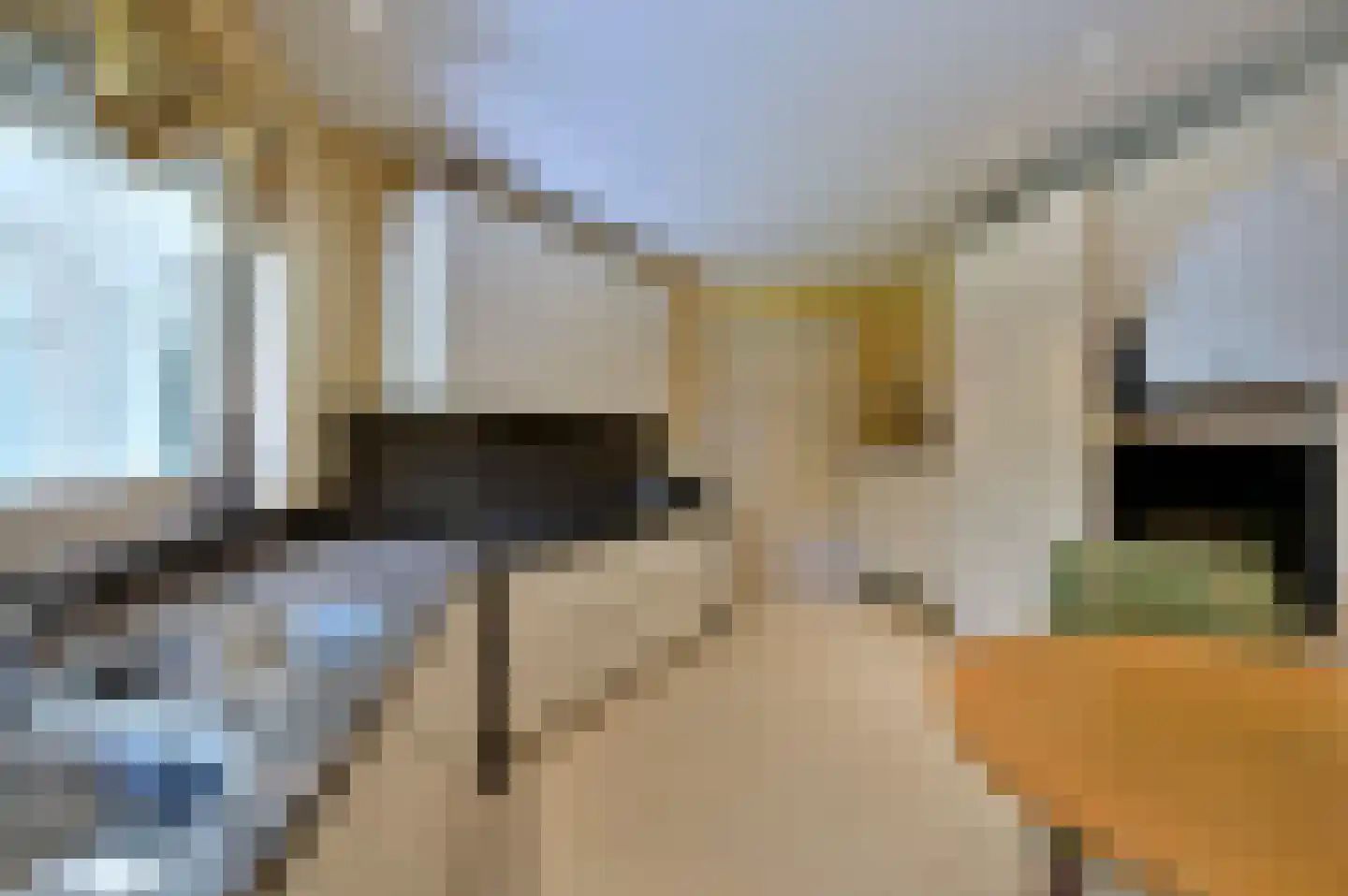 Herenweg 123 Wilnis thumbnail 17
