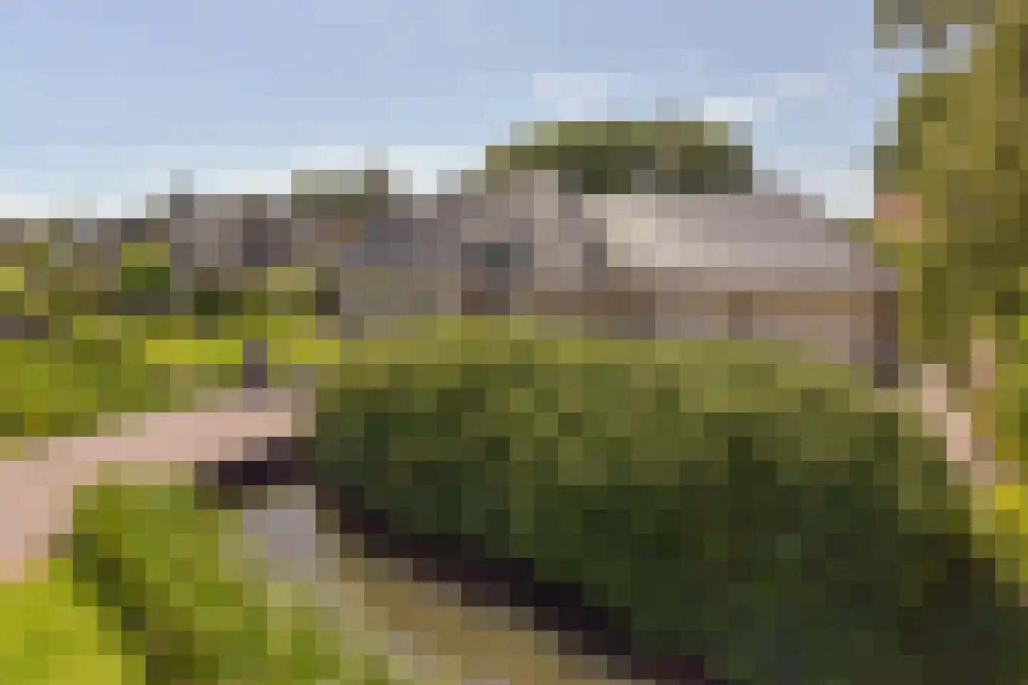 Herenweg 123 Wilnis thumbnail 4