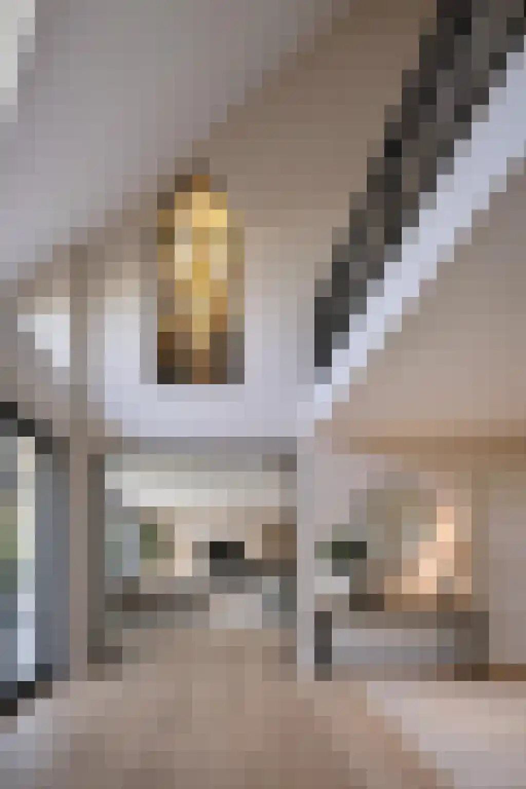 Herenweg 123 Wilnis thumbnail 54