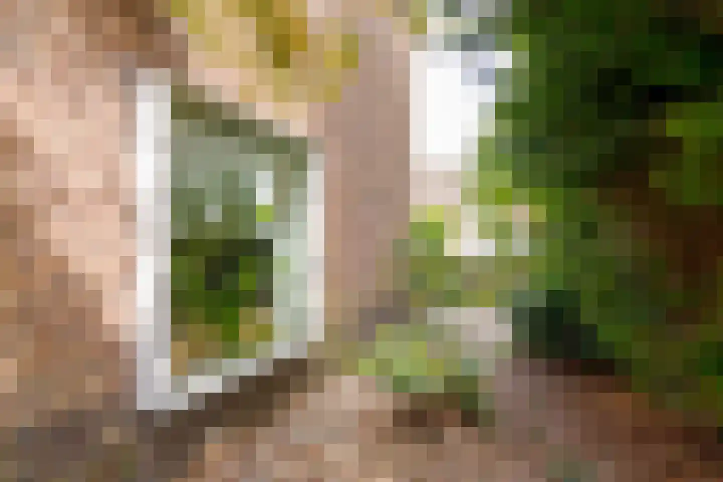 Herenweg 138 Zwolle thumbnail 33