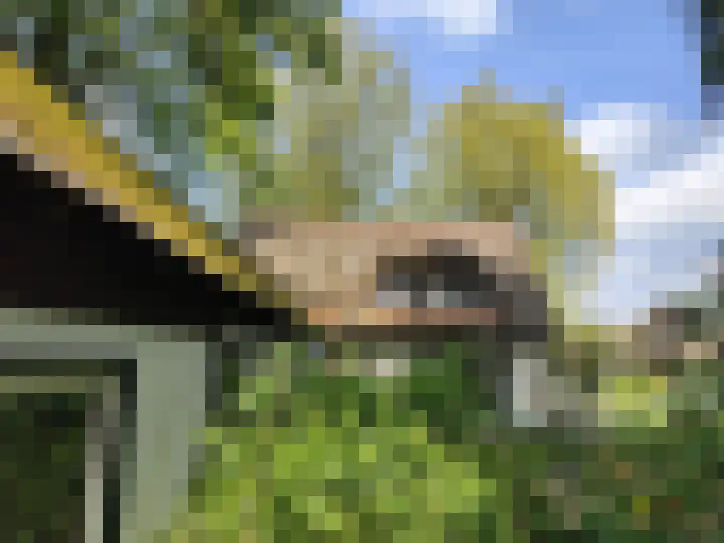 Herenweg 147 Wilnis thumbnail 18