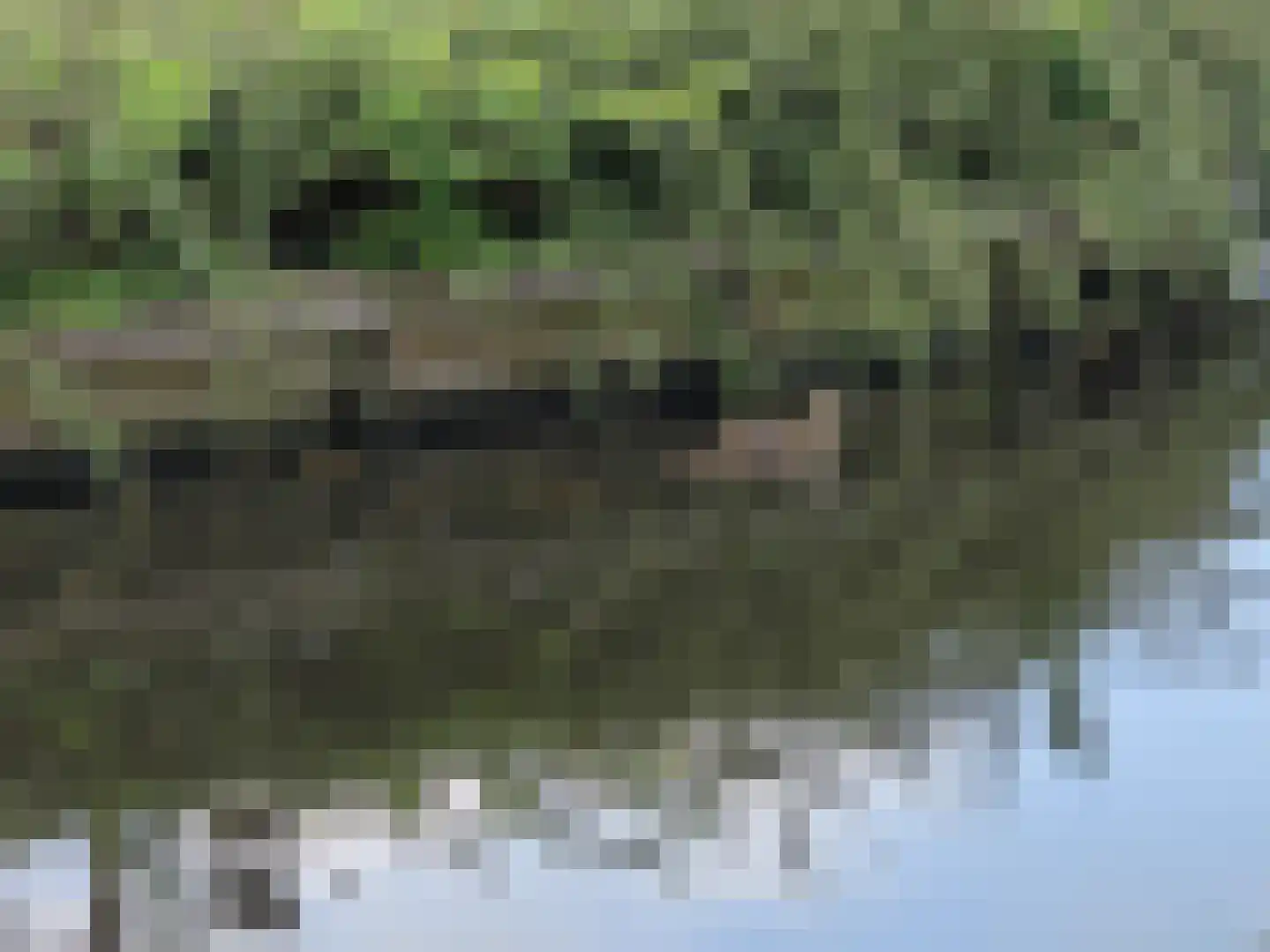 Herenweg 147 Wilnis thumbnail 21