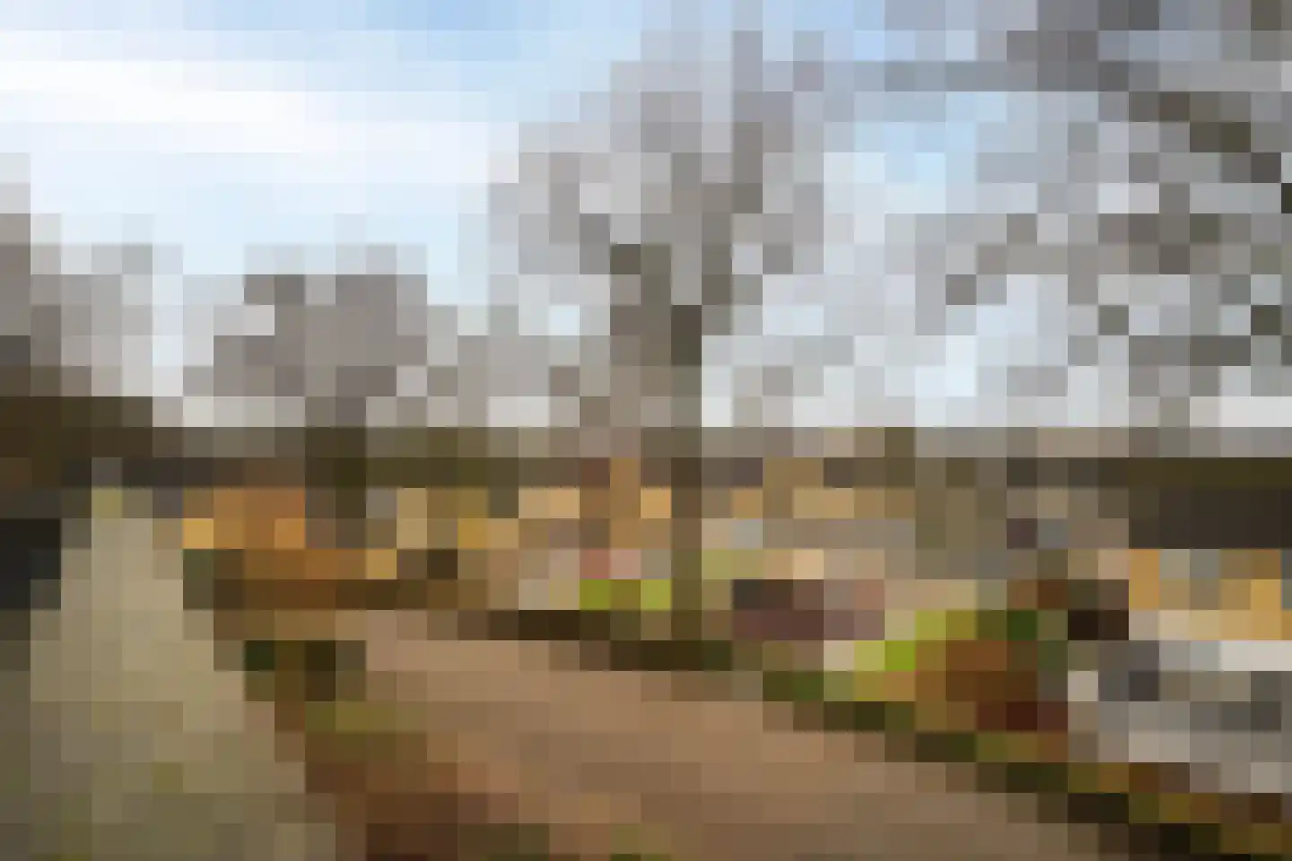 Herenweg 15 Bergen op Zoom thumbnail 23