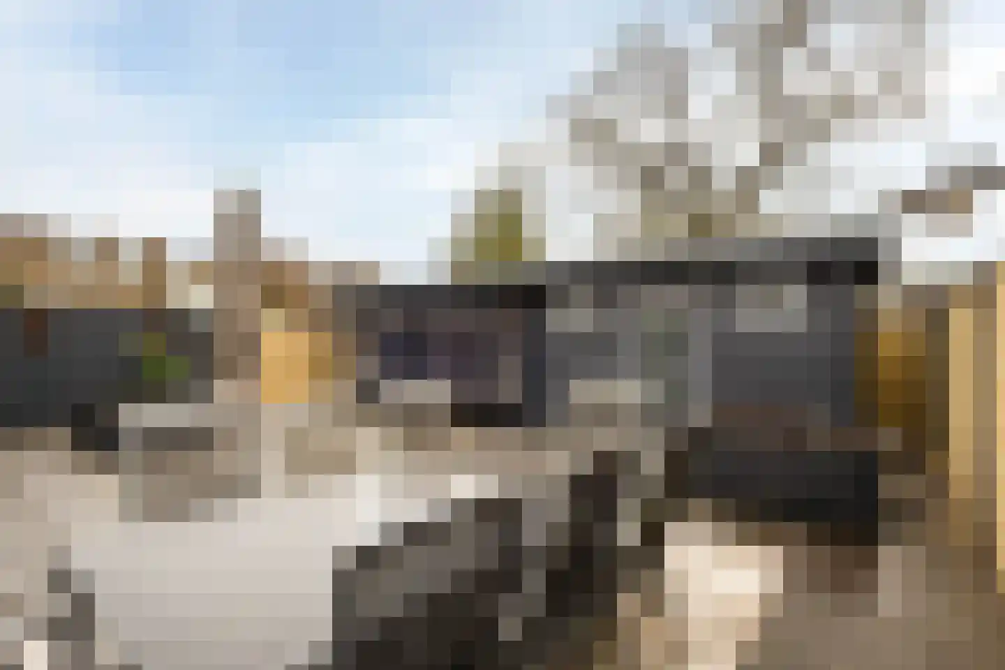 Herenweg 15 Bergen op Zoom thumbnail 34
