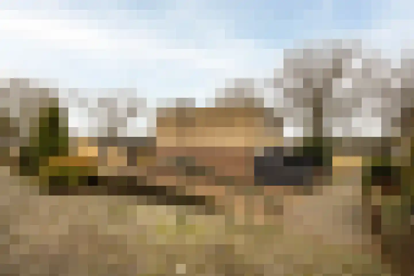 Herenweg 15 Bergen op Zoom thumbnail 38