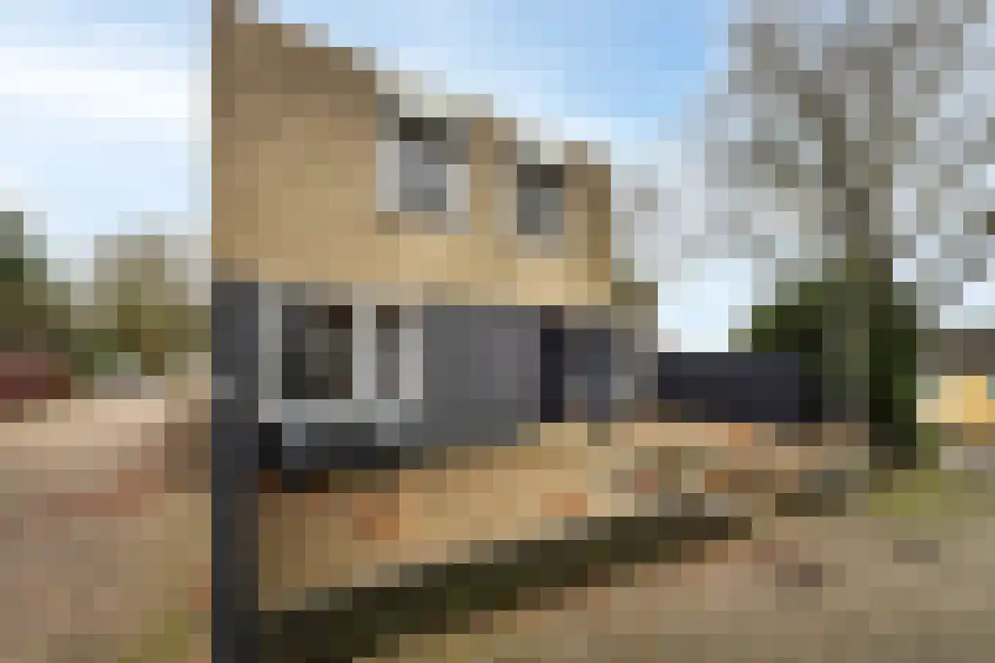 Herenweg 15 Bergen op Zoom thumbnail 39