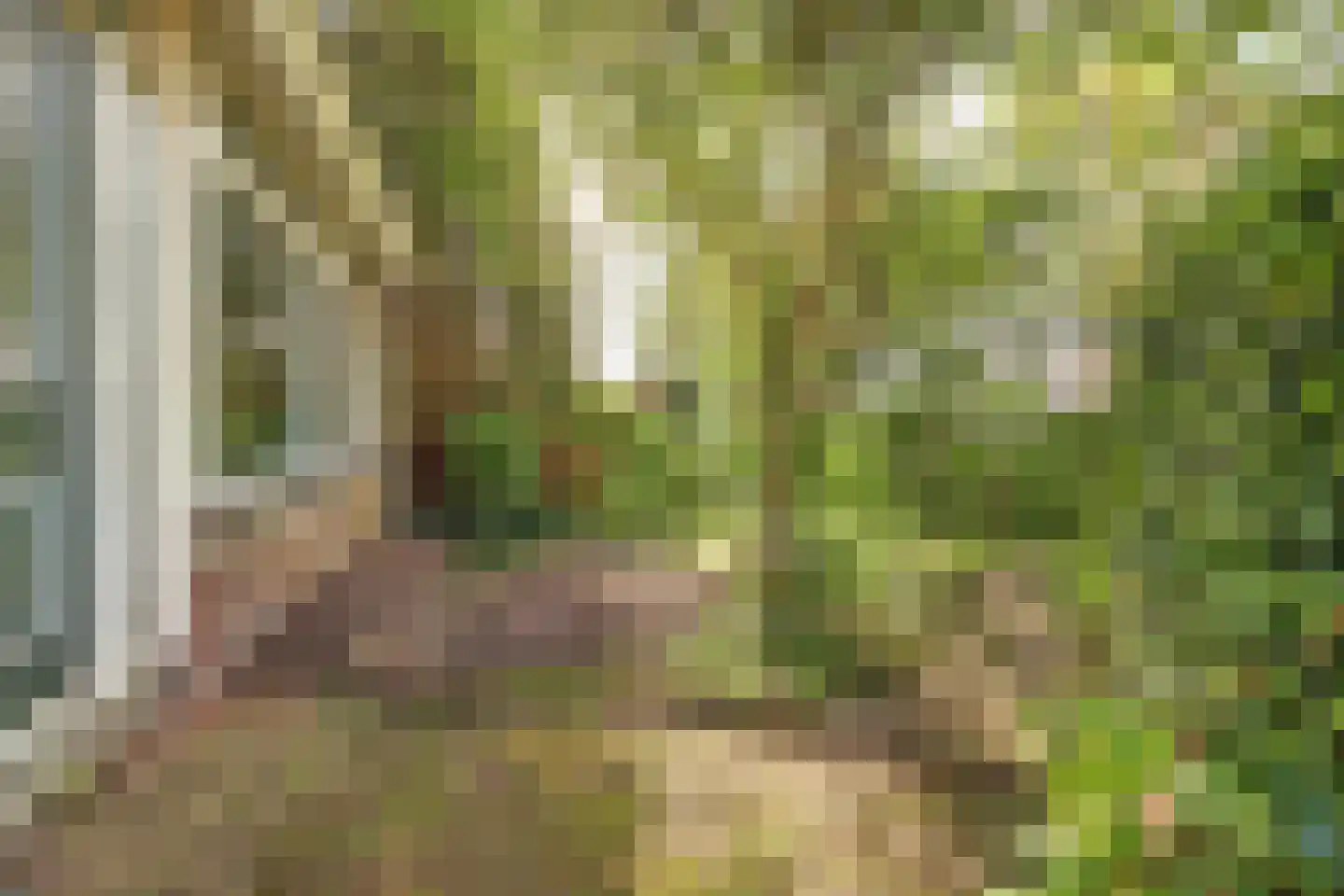 Herenweg 15 Maarssen thumbnail 11
