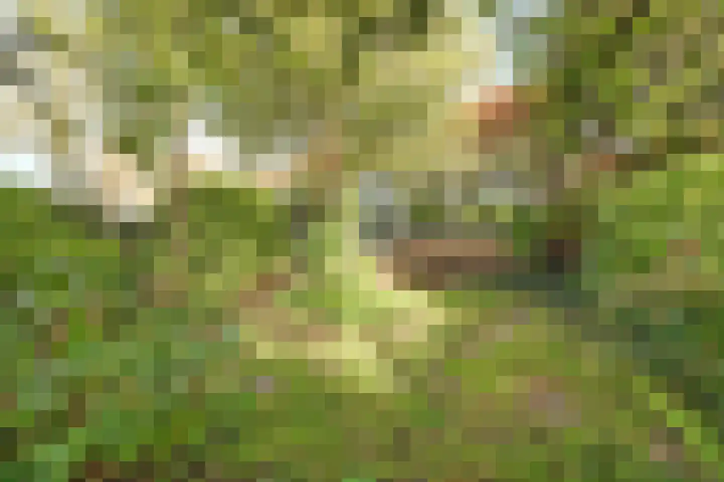 Herenweg 15 Maarssen thumbnail 12