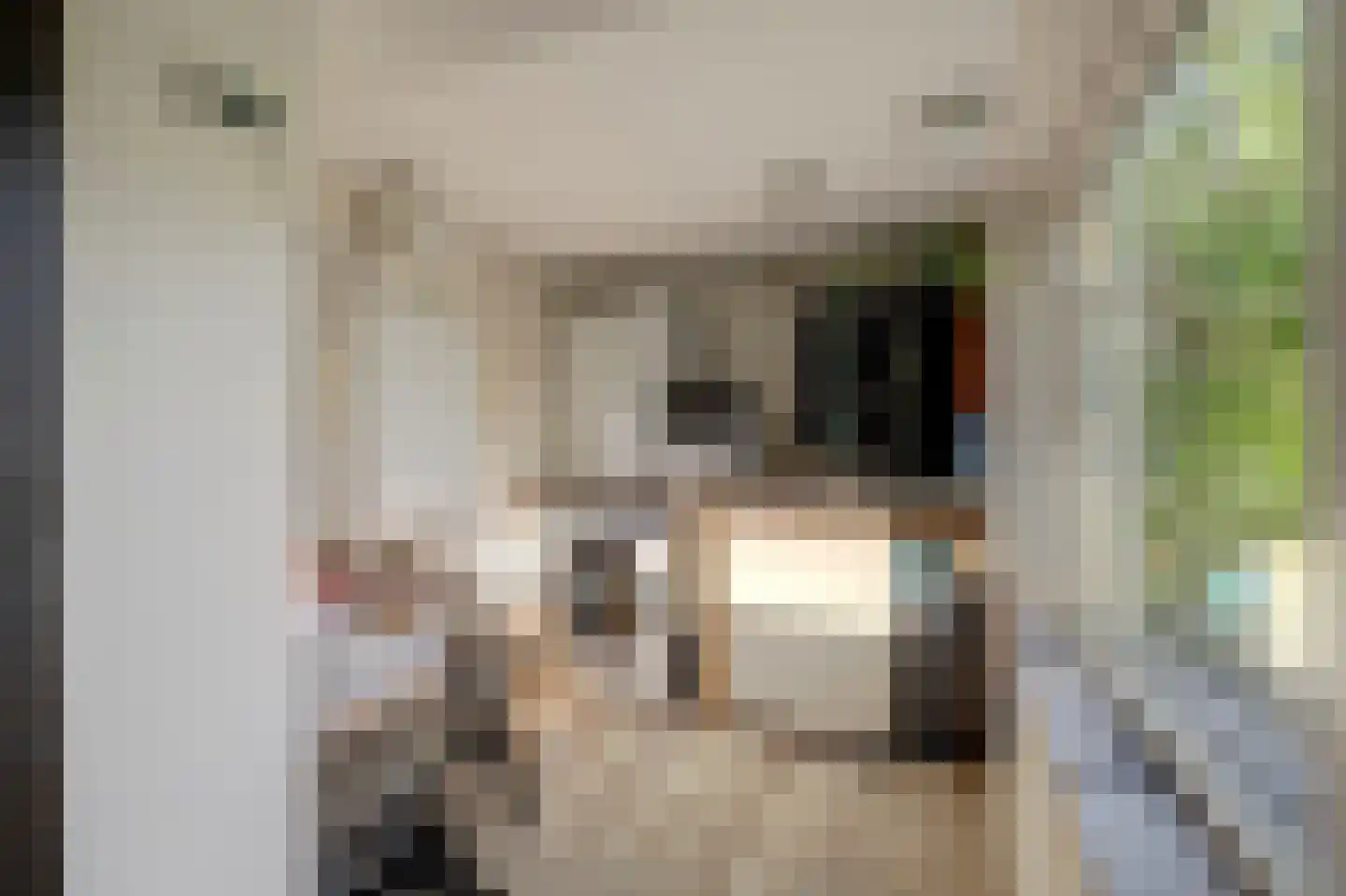 Herenweg 15 Maarssen thumbnail 27
