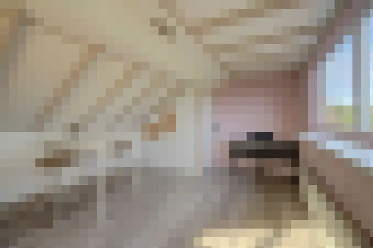 Herenweg 15 Maarssen thumbnail 41