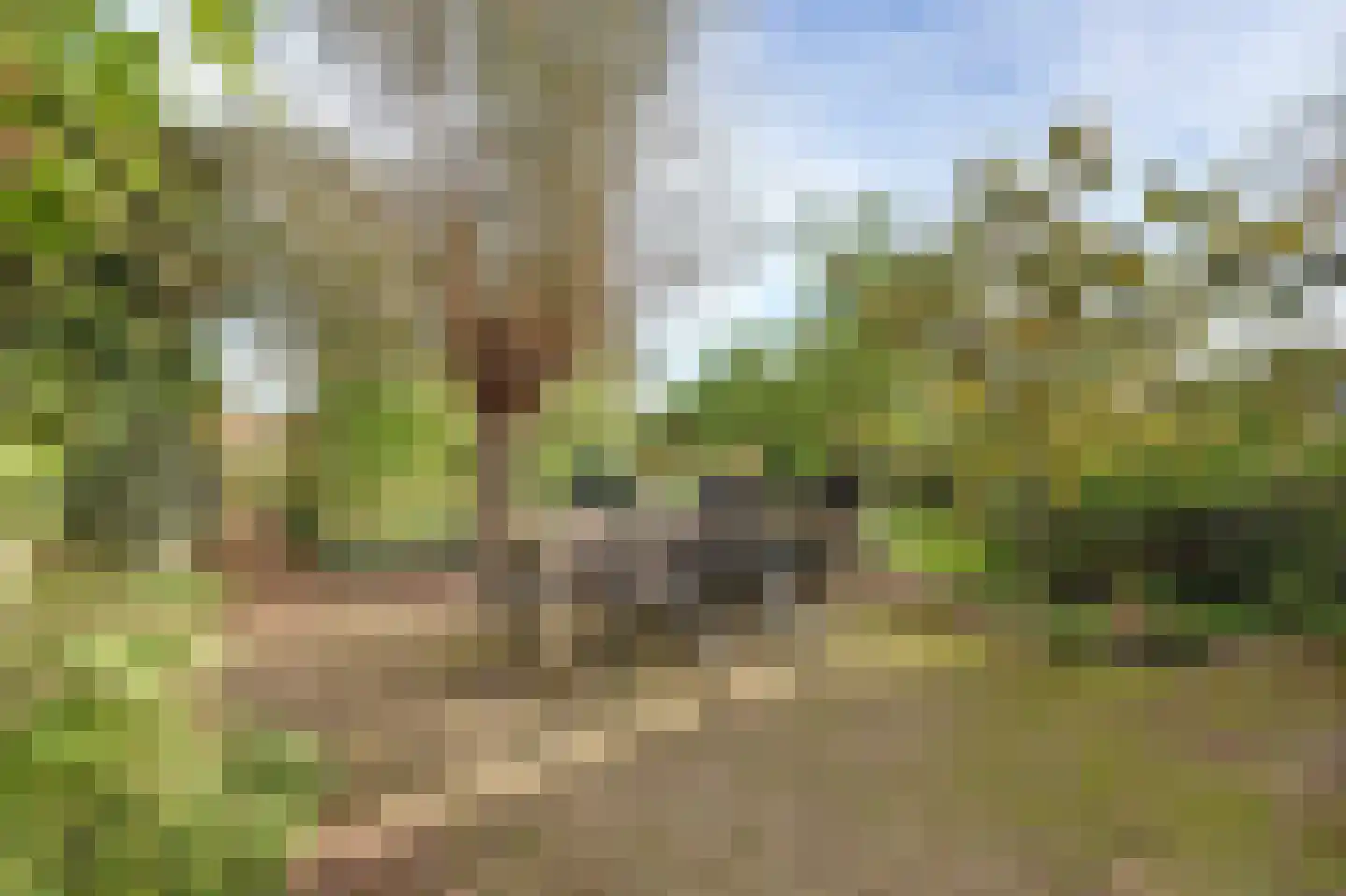 Herenweg 15 Maarssen thumbnail 44