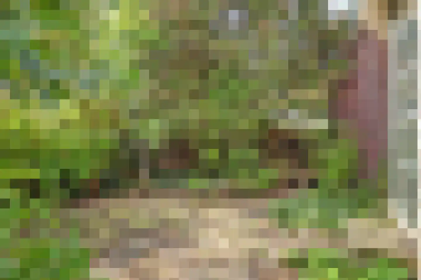 Herenweg 15 Maarssen thumbnail 47