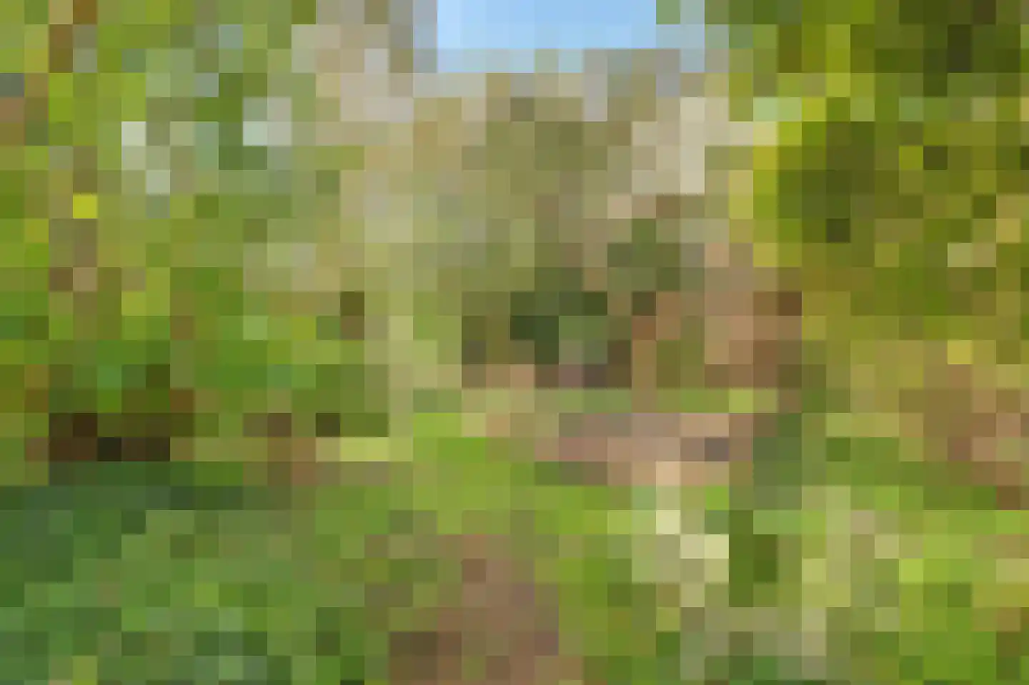 Herenweg 15 Maarssen thumbnail 51