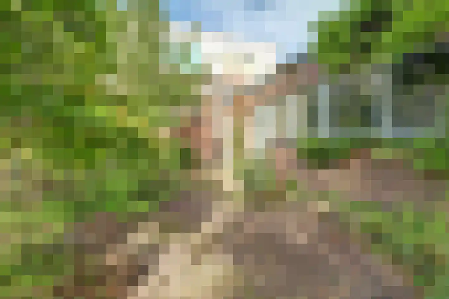 Herenweg 15 Maarssen thumbnail 53