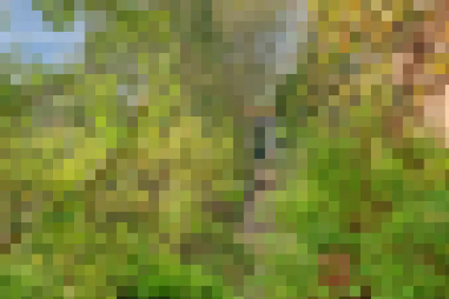 Herenweg 15 Maarssen thumbnail 55