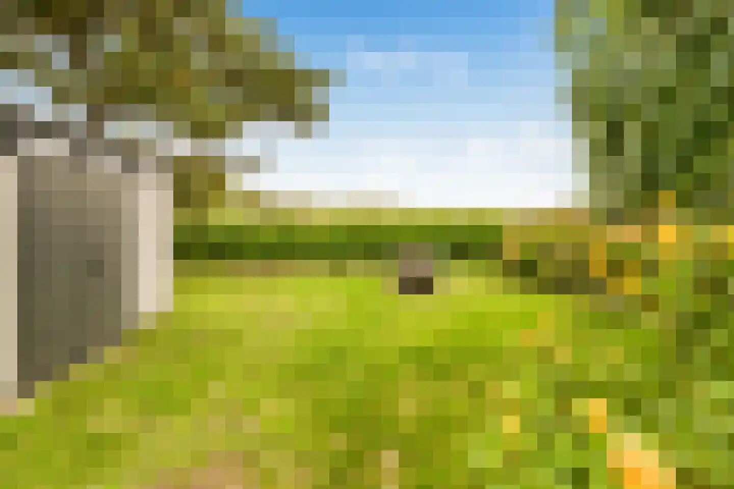 Herenweg 152 Egmond aan den Hoef thumbnail 7