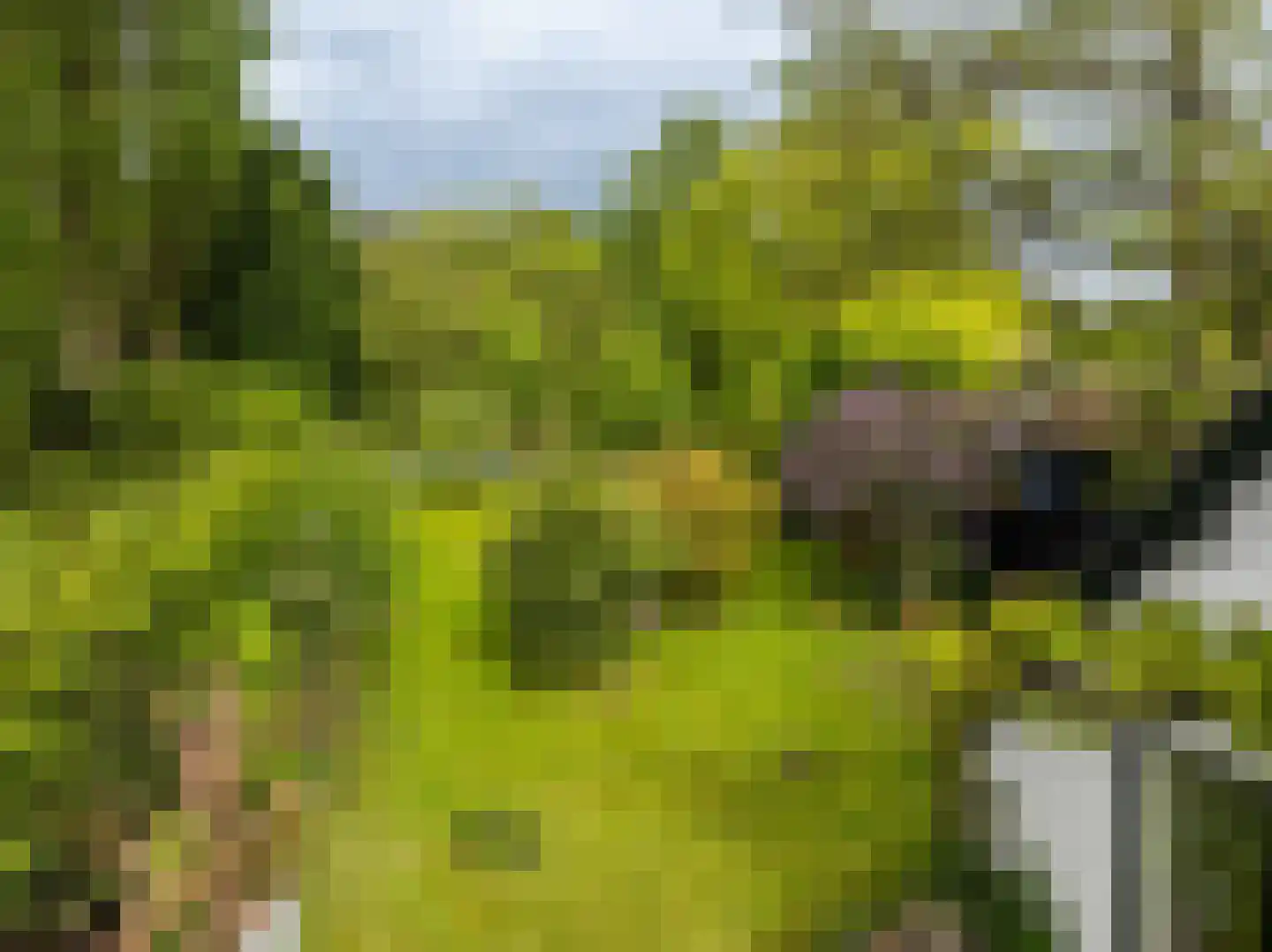 Herenweg 17 Bergen (NH) thumbnail 32