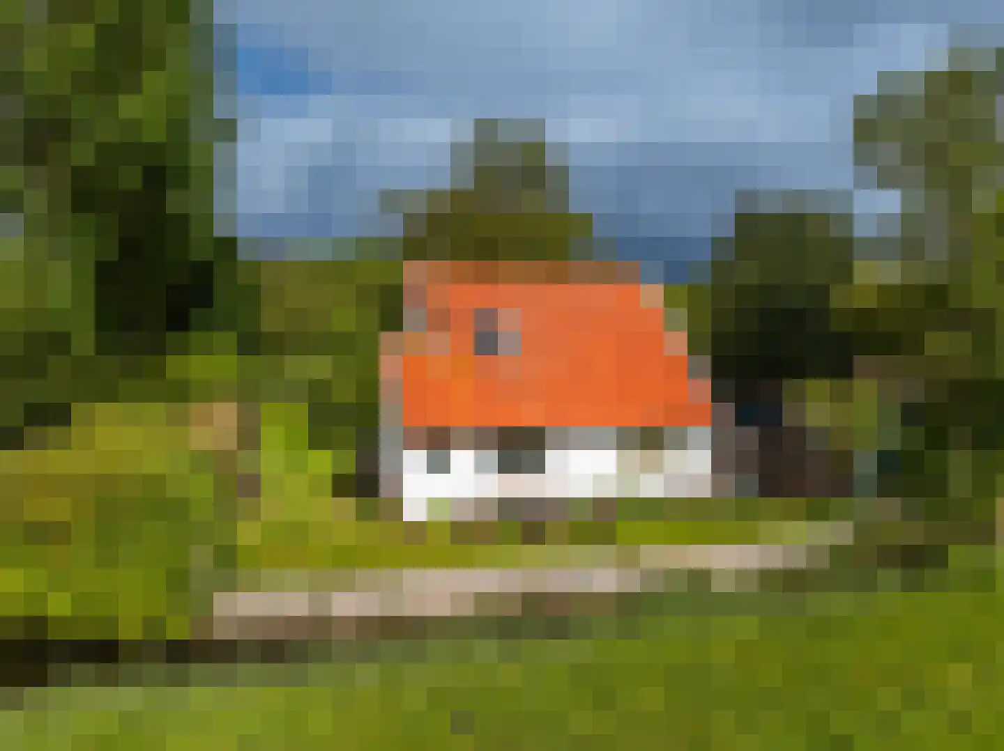 Herenweg 17 Bergen (NH) thumbnail 38