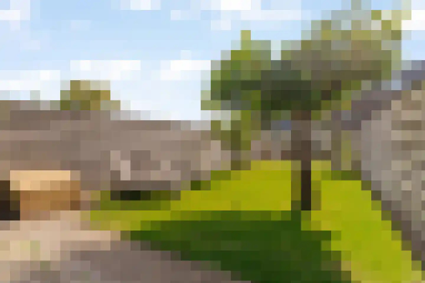 Herenweg 17 Noordwijk thumbnail 12
