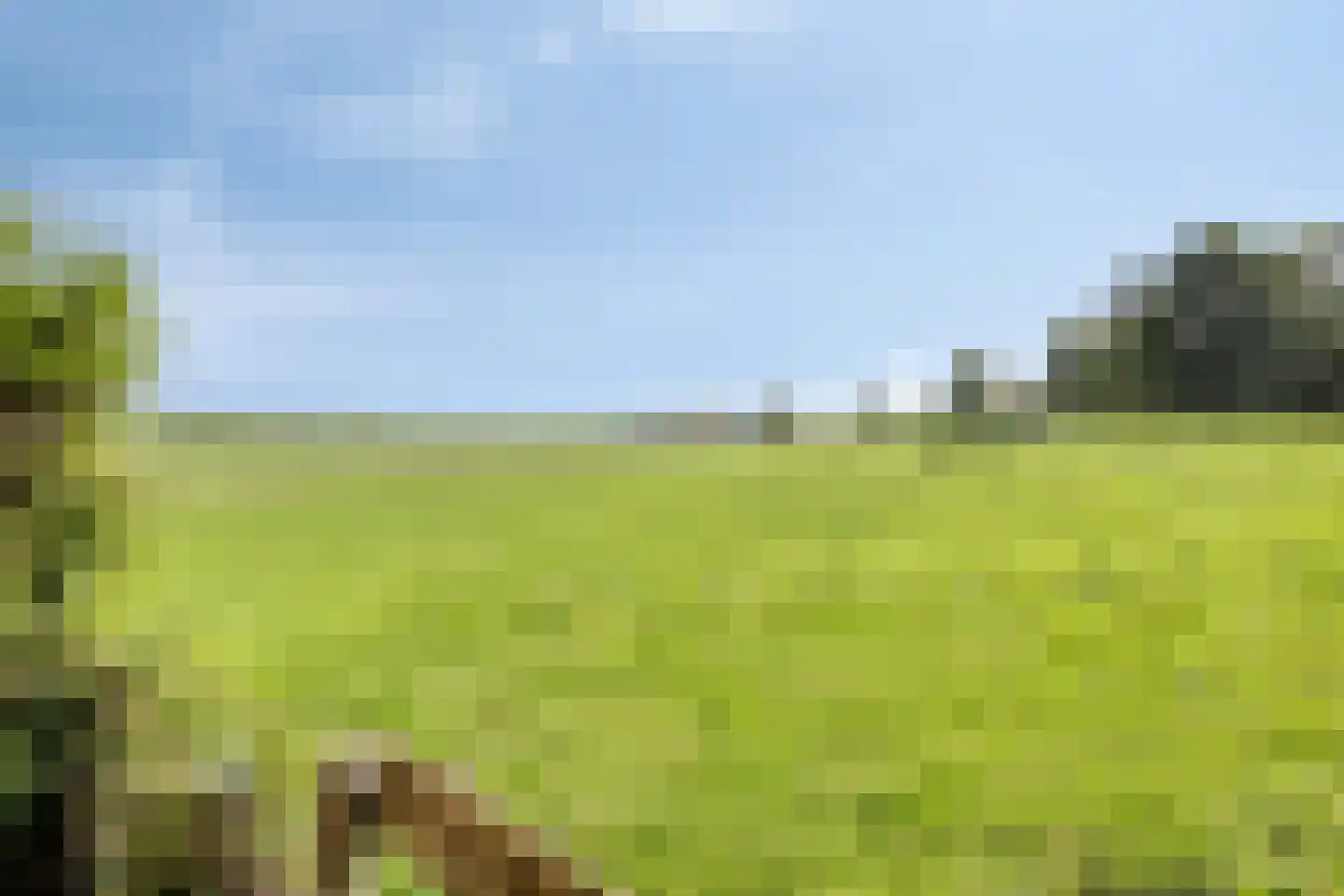 Herenweg 18 Rijnsaterwoude thumbnail 33