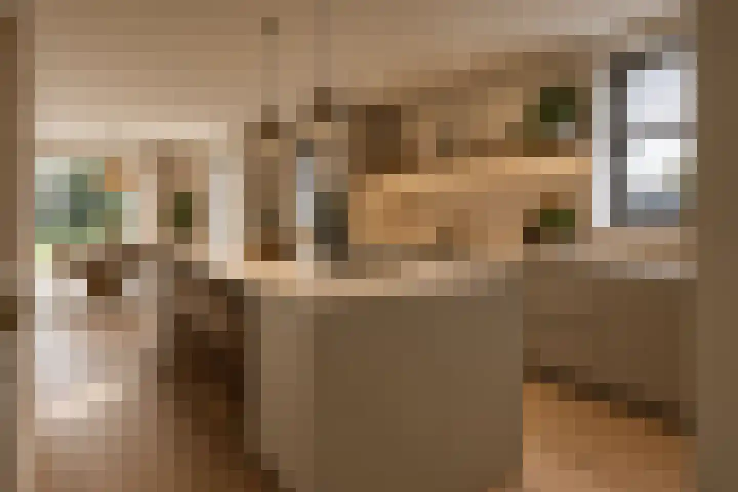 Herenweg 18 Rijnsaterwoude thumbnail 4