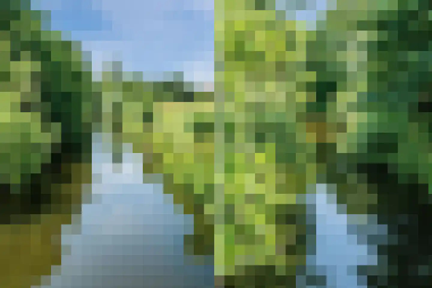 Herenweg 182 Alkmaar thumbnail 100