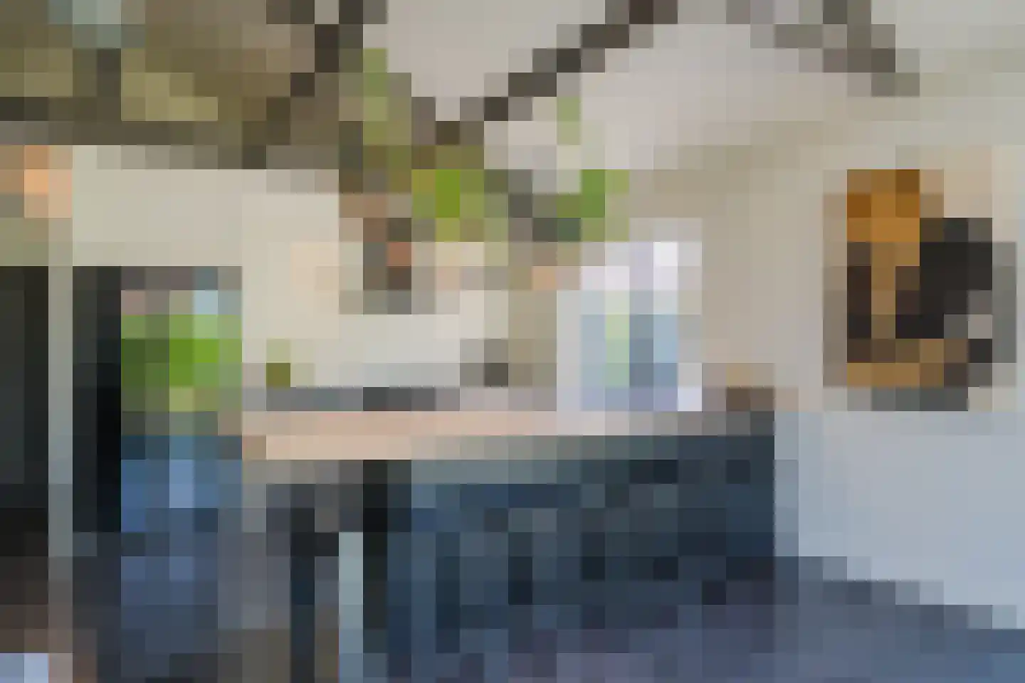 Herenweg 182 Alkmaar thumbnail 18