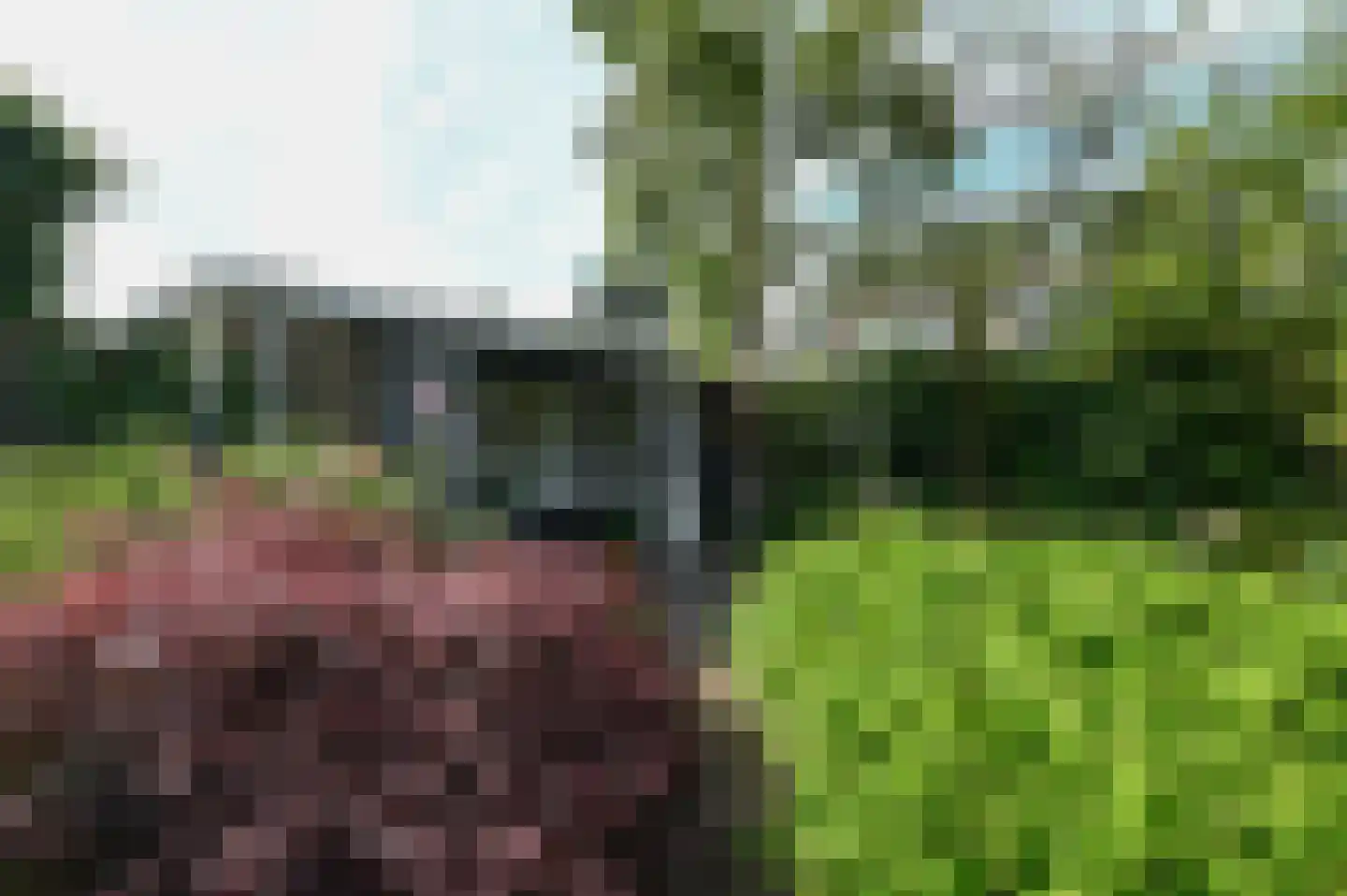 Herenweg 185 B Wilnis thumbnail 29