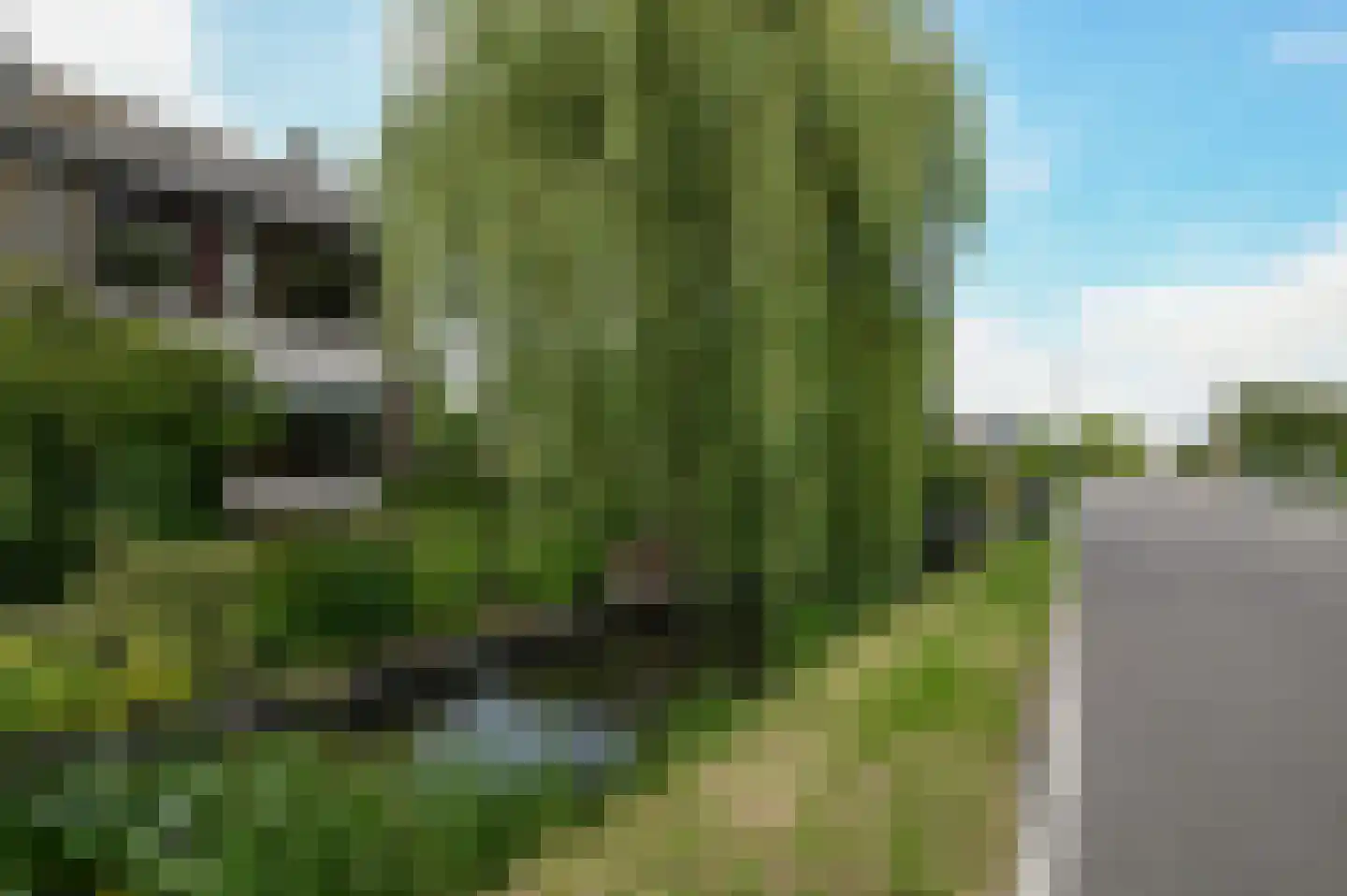 Herenweg 185 B Wilnis thumbnail 33