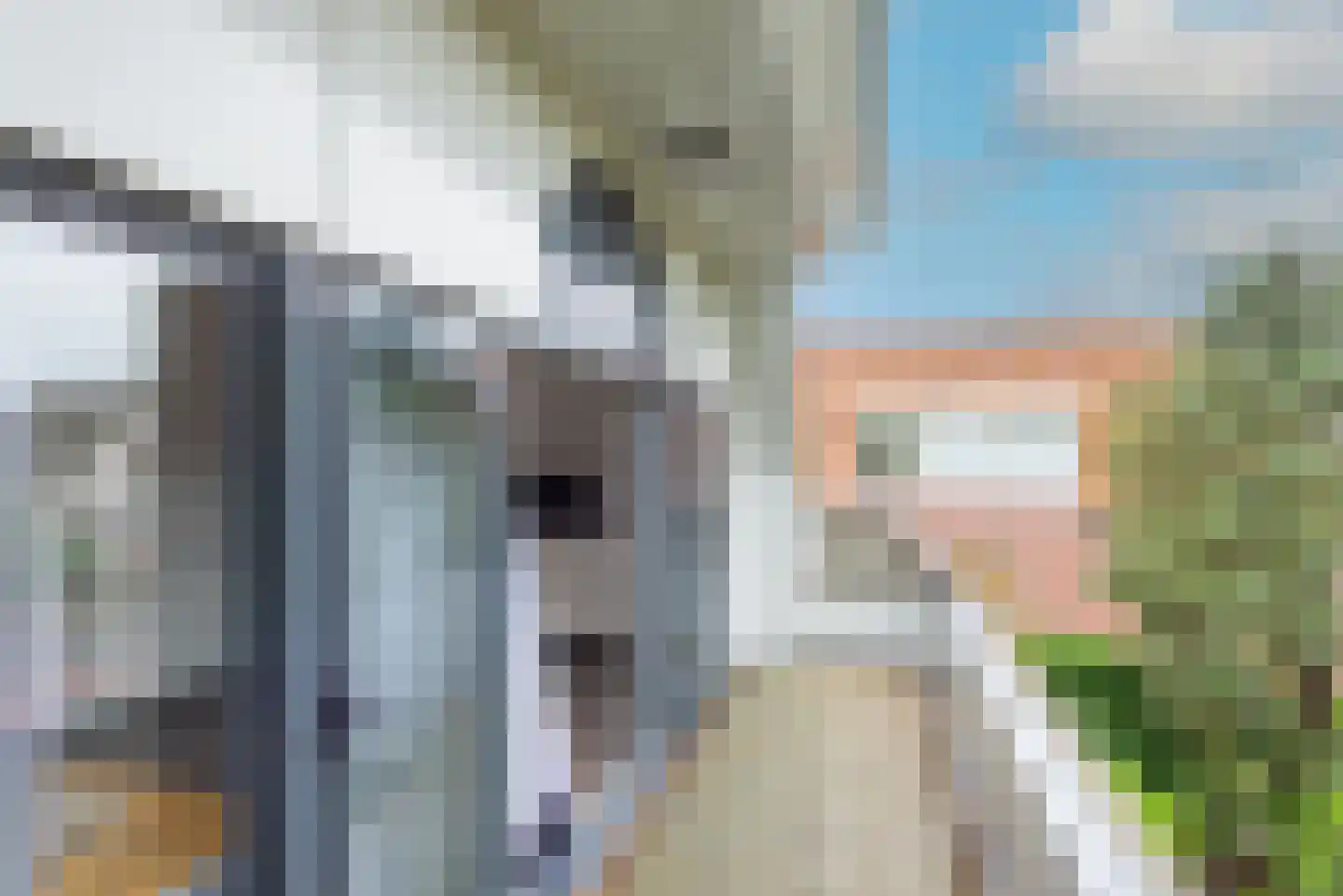 Herenweg 188 Alkmaar thumbnail 24