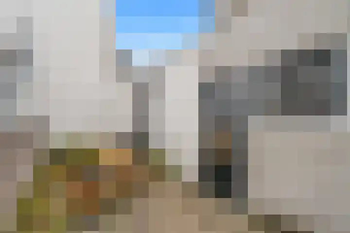 Herenweg 19 Utrecht thumbnail 26
