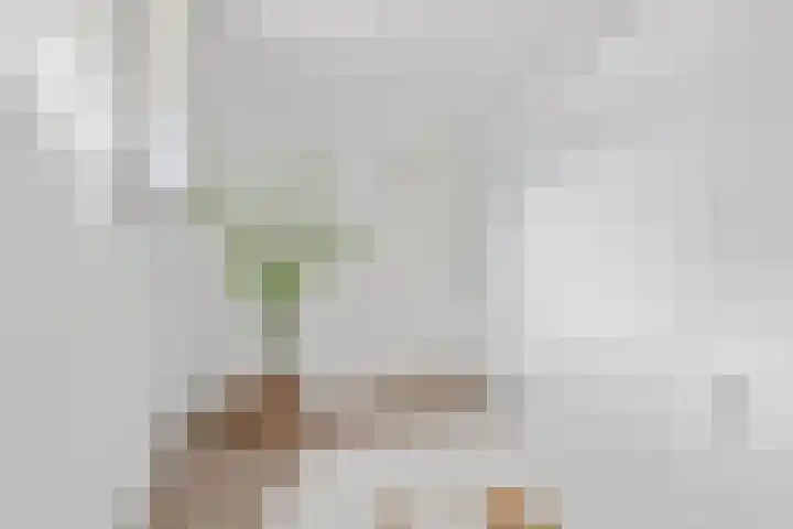Herenweg 19 Utrecht thumbnail 33