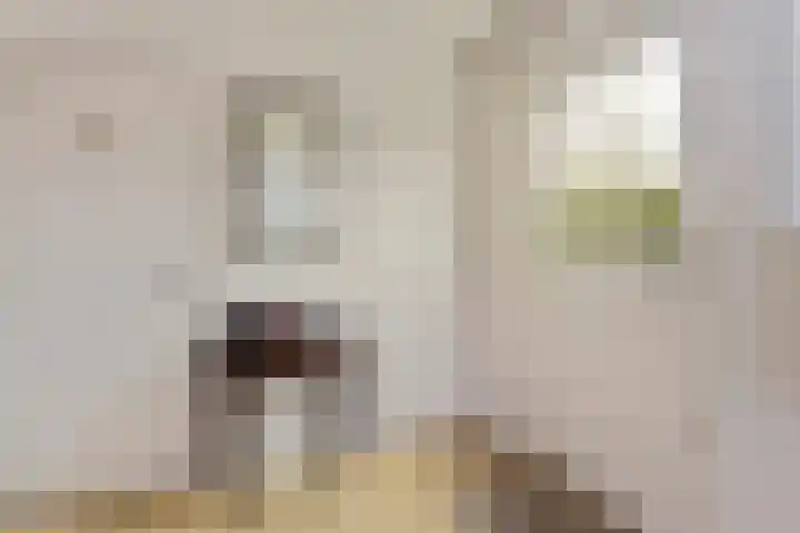 Herenweg 195 Wilnis thumbnail 16