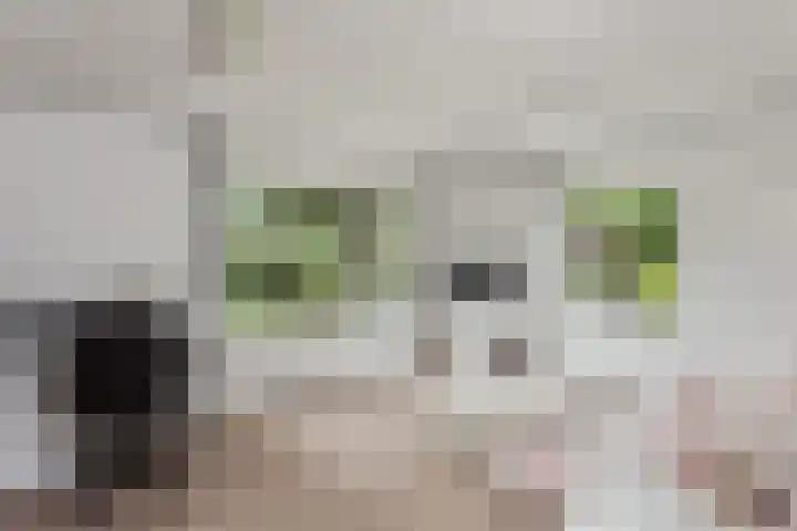 Herenweg 195 Wilnis thumbnail 20