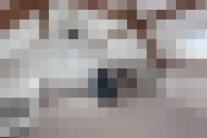 Herenweg 195 Wilnis thumbnail 24