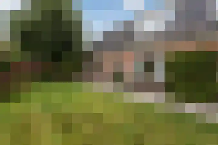 Herenweg 195 Wilnis thumbnail 32