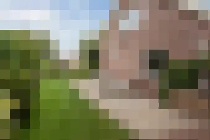Herenweg 195 Wilnis thumbnail 34