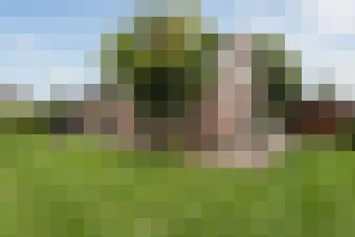 Herenweg 195 Wilnis thumbnail 35