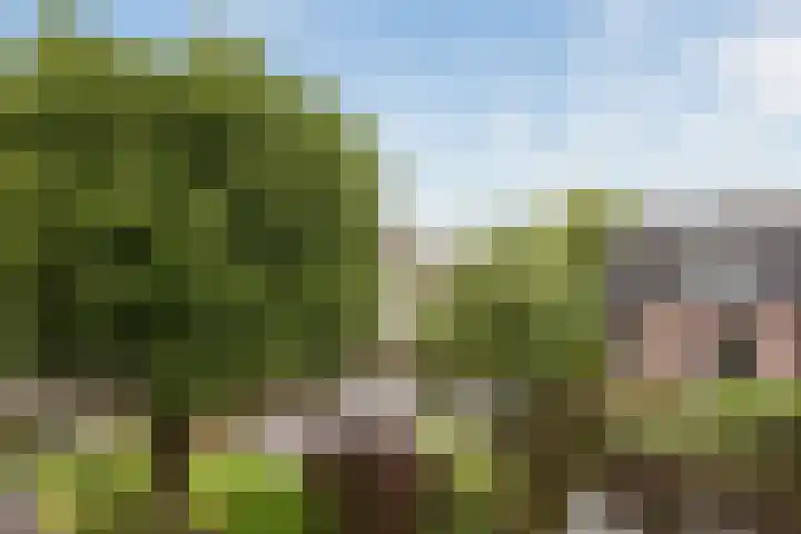 Herenweg 195 Wilnis thumbnail 37