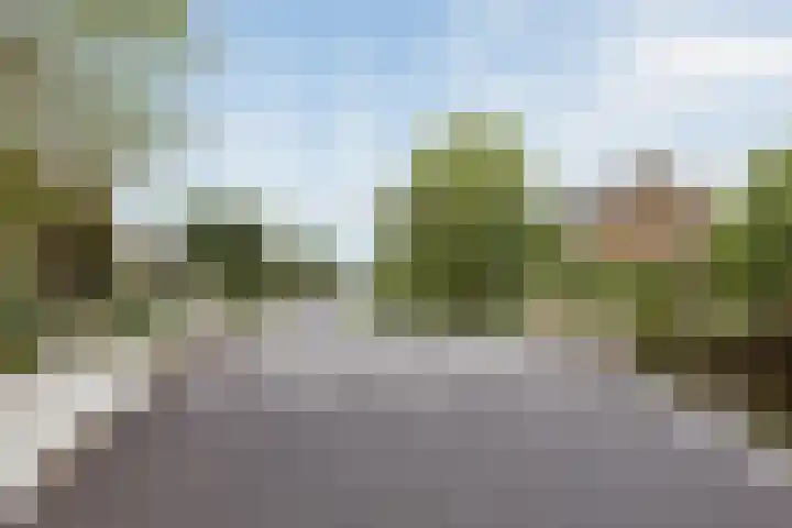 Herenweg 195 Wilnis thumbnail 39