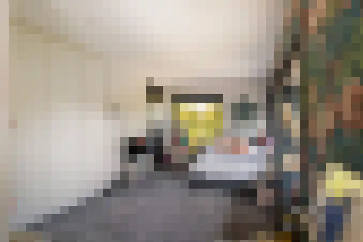 Herenweg 2 Maarssen thumbnail 27