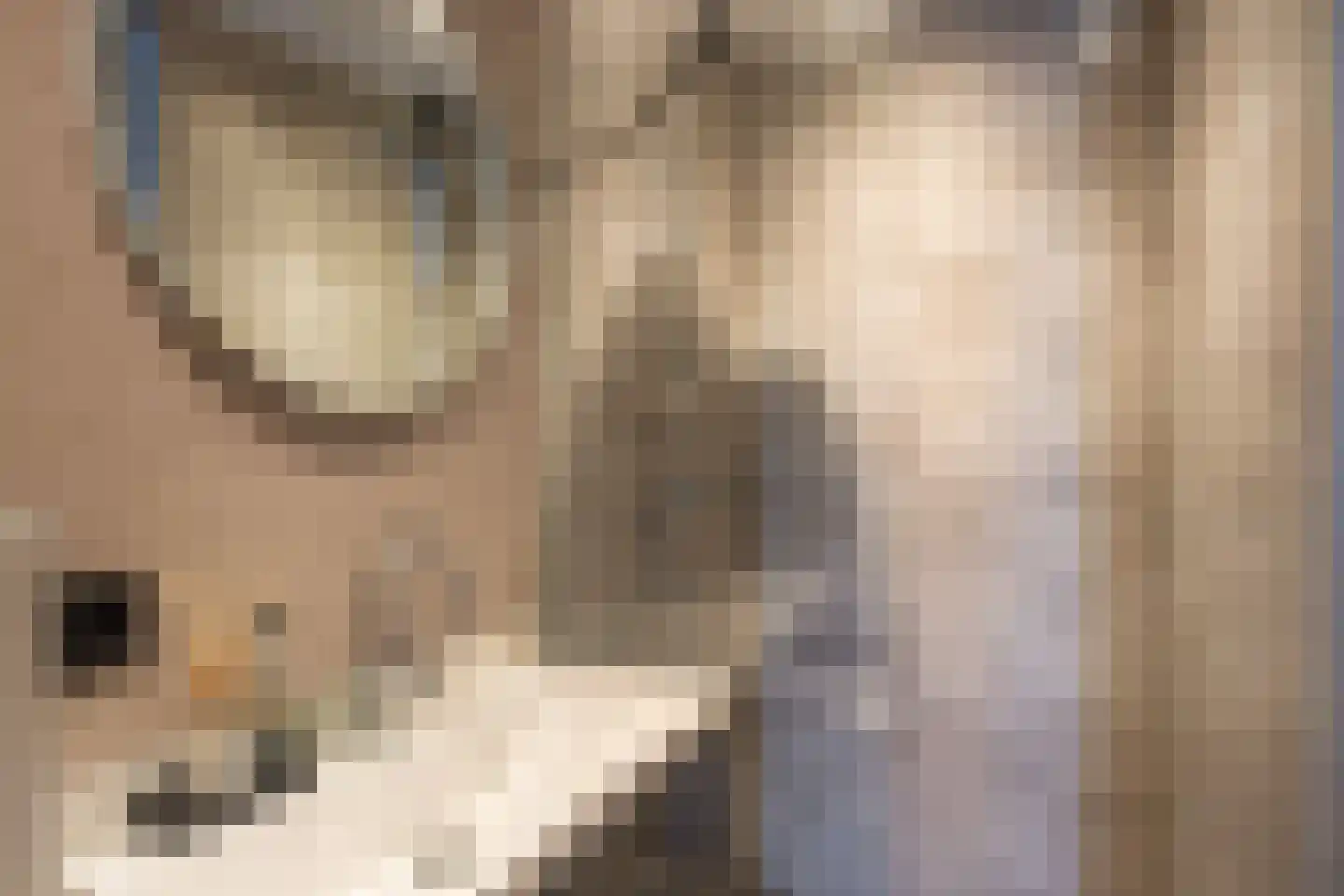 Herenweg 2 Maarssen thumbnail 40