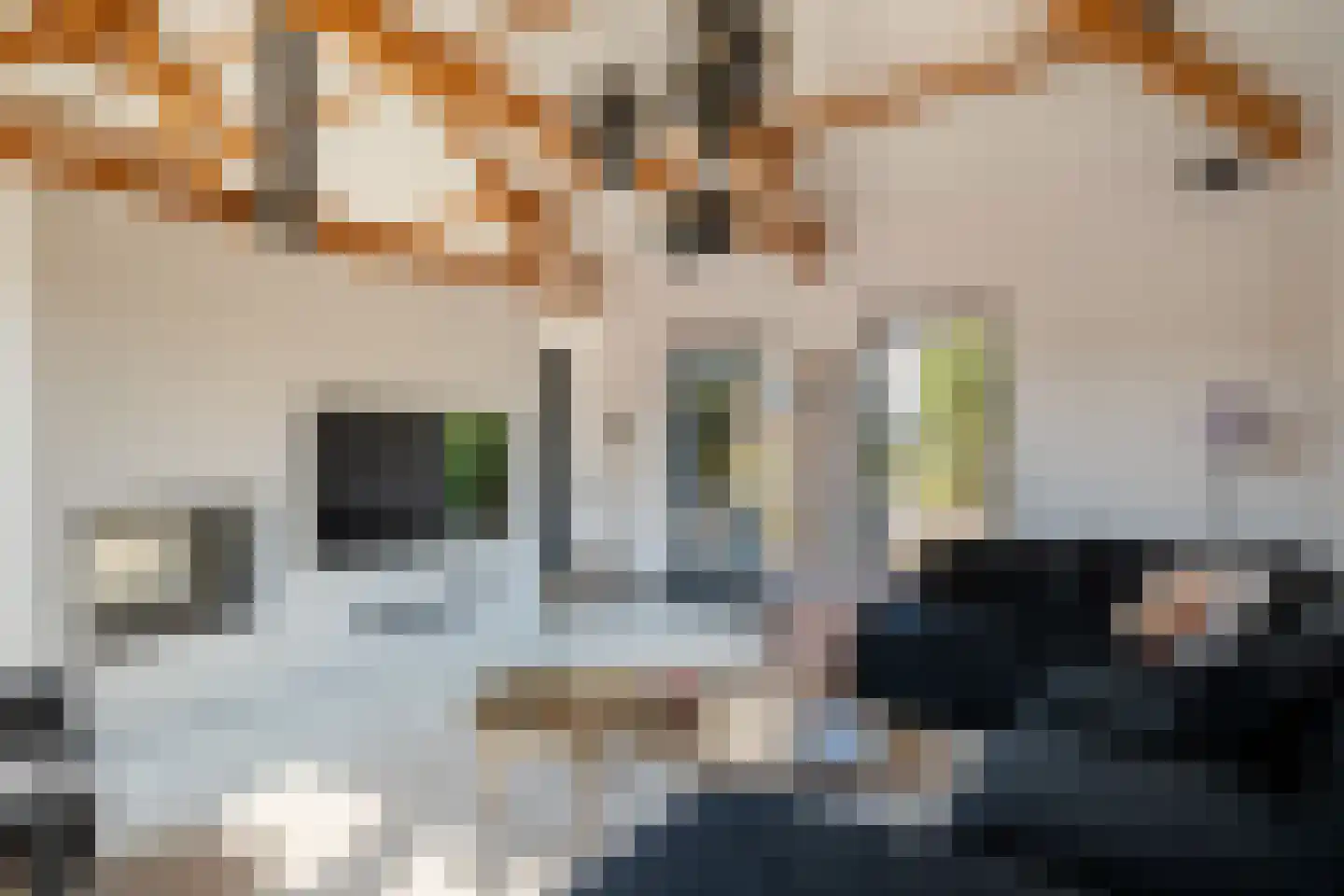 Herenweg 2 Maarssen thumbnail 9